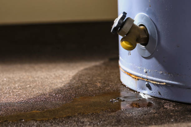 Best Sewage cleanup and water damage restoration  in Altamont, NY