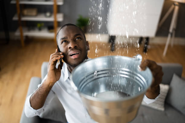 Best Ceiling water damage repair  in Altamont, NY