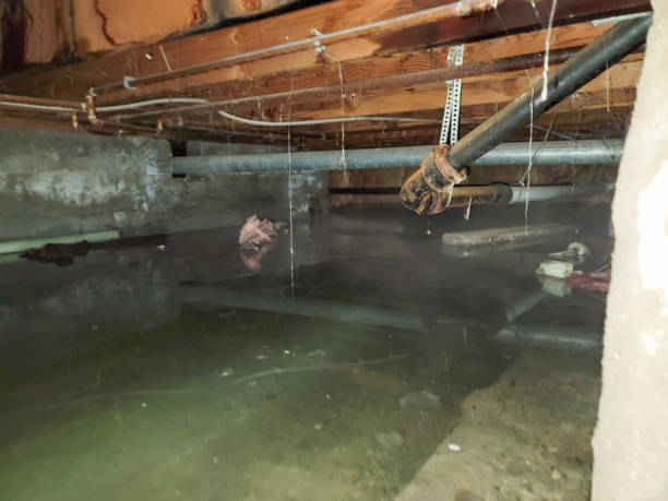 Best Professional water damage repair  in Altamont, NY