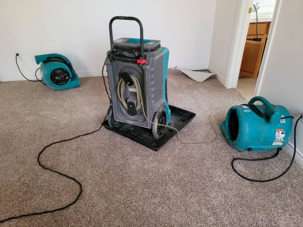 Best Basement water damage restoration  in Altamont, NY