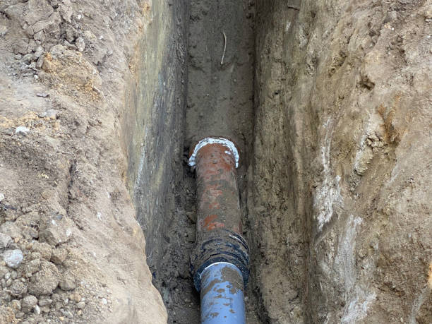Best Flood damage cleanup  in Altamont, NY