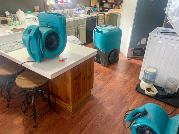 Best Carpet water damage restoration  in Altamont, NY