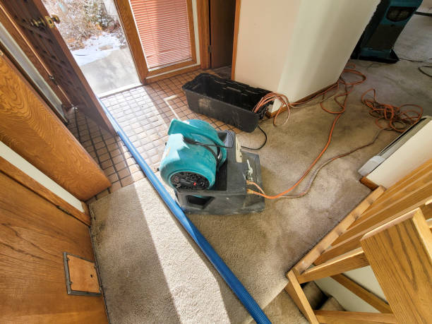 Best Emergency water damage restoration  in Altamont, NY