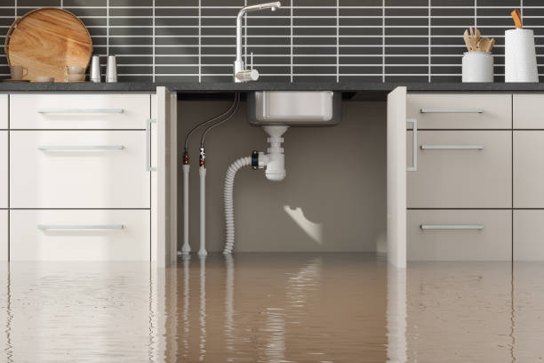 Best Ceiling water damage repair  in Altamont, NY