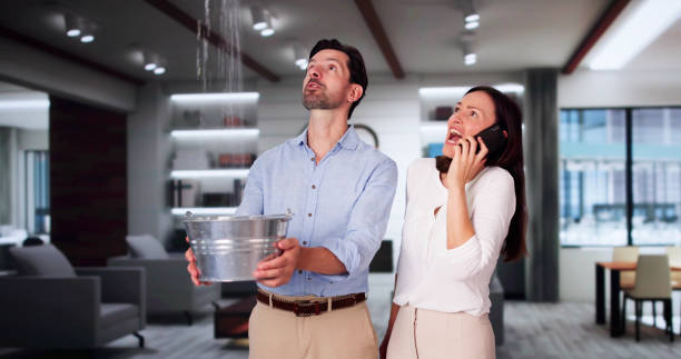 Best Water damage contractors near me  in Altamont, NY